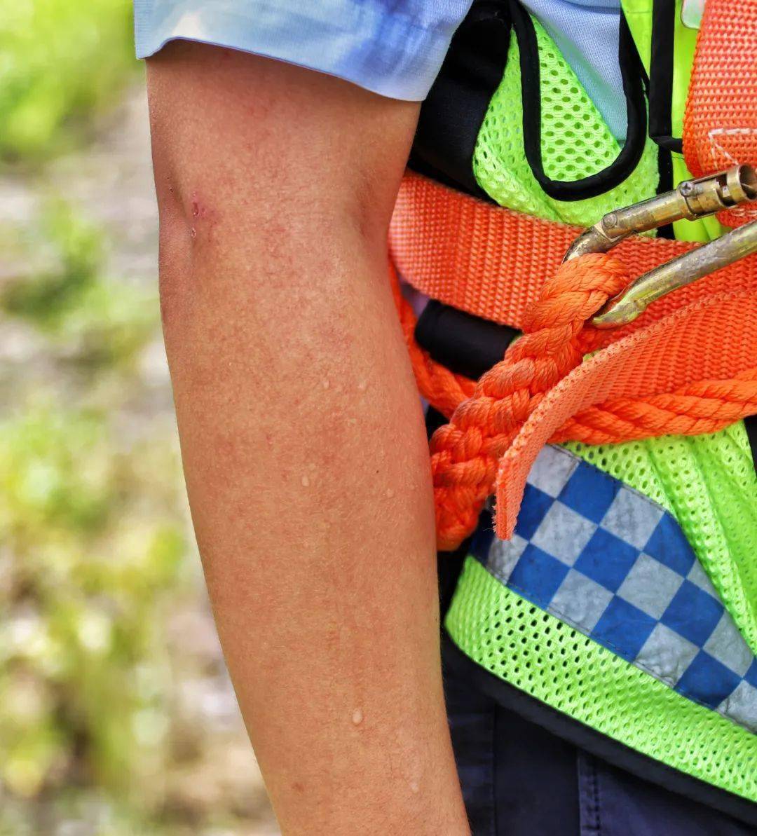 谢菲联球员心态稳定，主帅期待队伍恢复元气的简单介绍